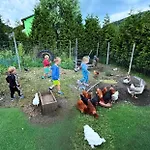 Wzgorze W Cieniu Lasu *