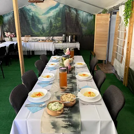 Wzgorze W Cieniu Lasu *