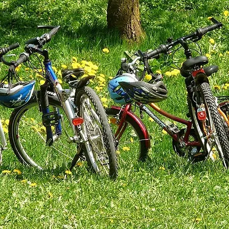 Wzgorze W Cieniu Lasu