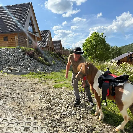 Wzgorze W Cieniu Lasu Lukowica