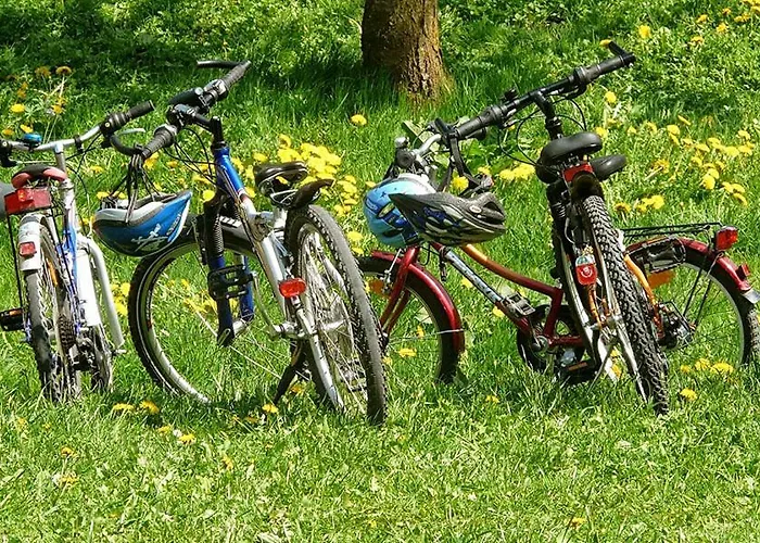 Wzgorze W Cieniu Lasu