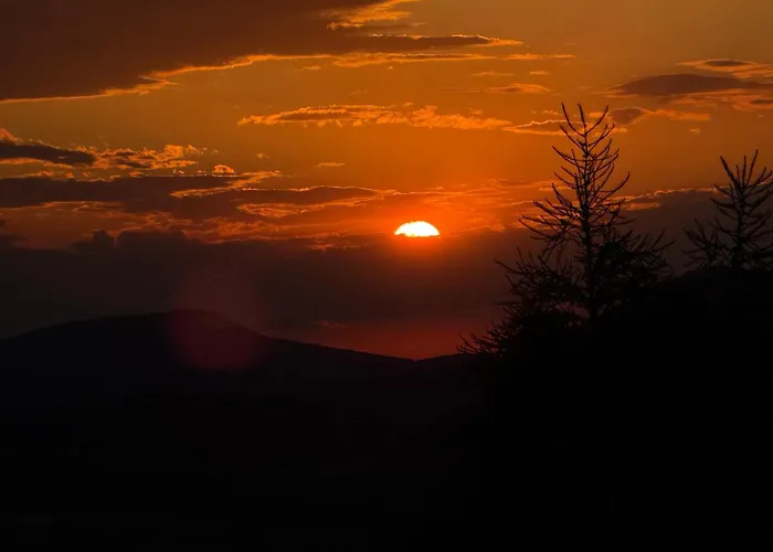 Wzgorze W Cieniu Lasu 木屋 Lukowica