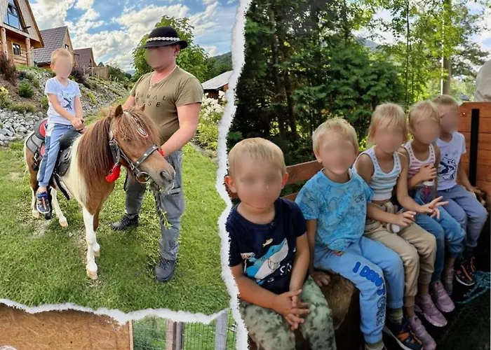 木屋 Wzgorze W Cieniu Lasu *