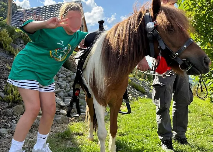 Wzgorze W Cieniu Lasu Lukowica
