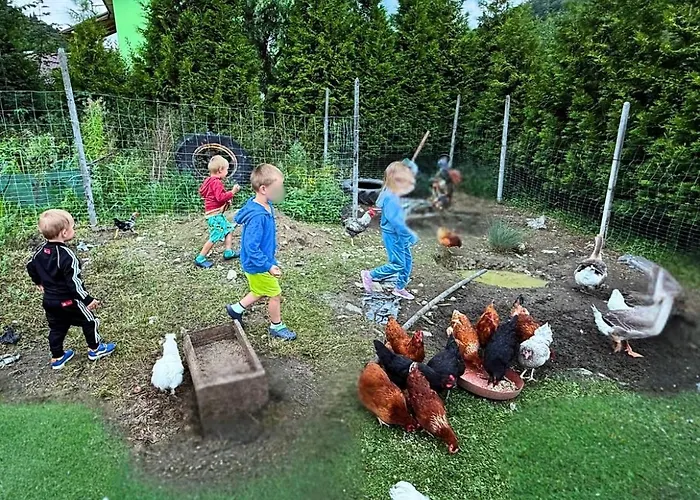 Wzgorze W Cieniu Lasu *