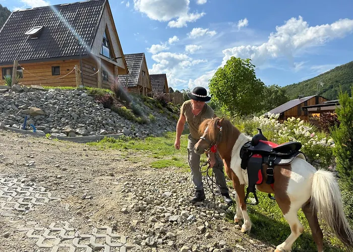Wzgorze W Cieniu Lasu Lukowica